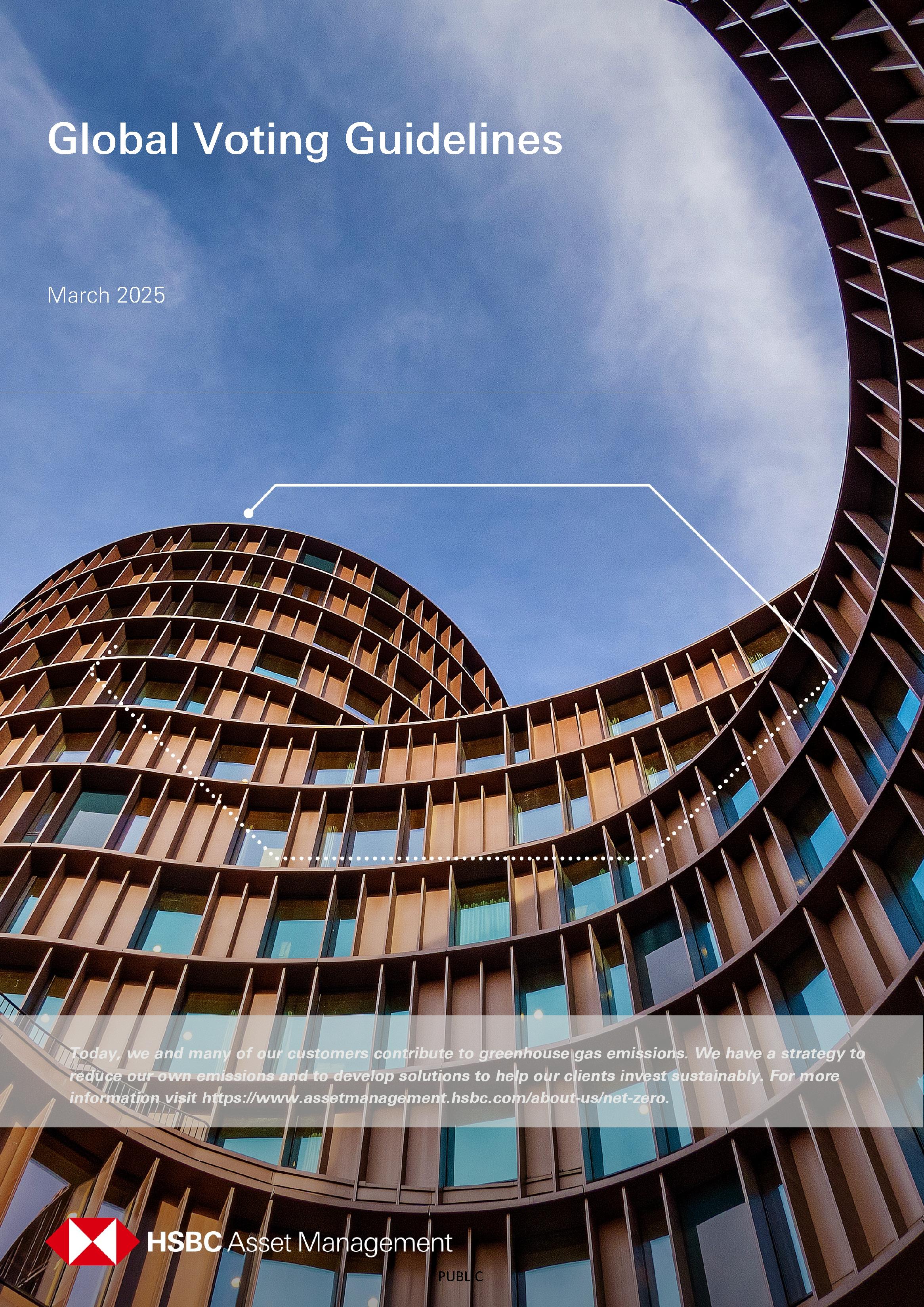 Directrices para la votación